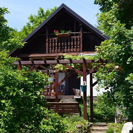 Na Okic - A Private Forest Oasis Sveti Martin pod Okicem Dış mekan fotoğraf