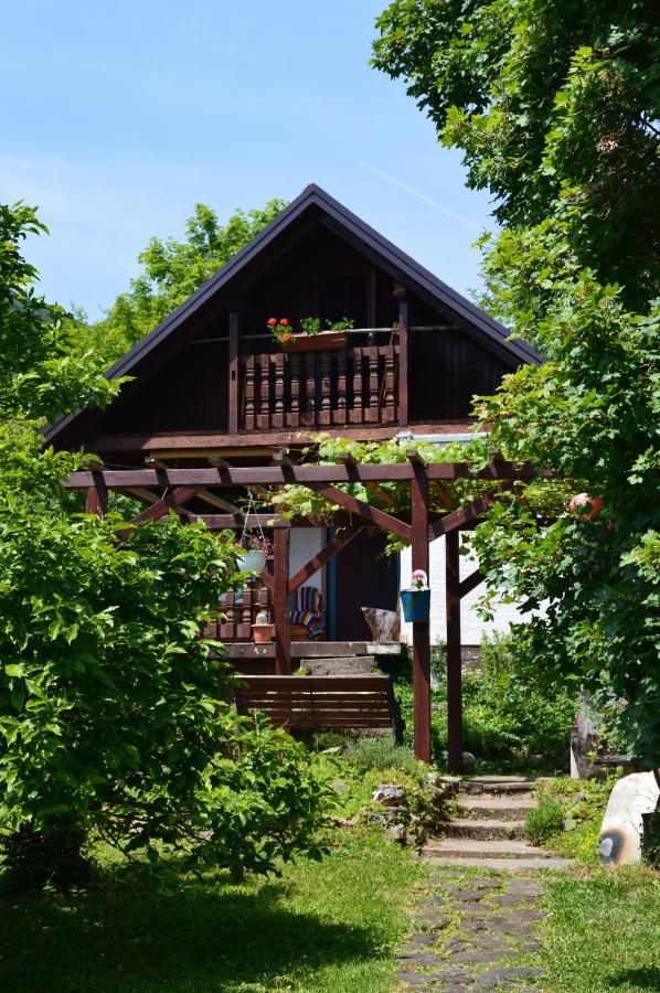 Na Okic - A Private Forest Oasis Villa Sveti Martin pod Okicem Dış mekan fotoğraf