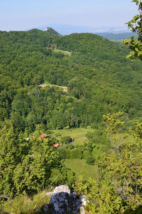 Na Okic - A Private Forest Oasis Sveti Martin pod Okicem Dış mekan fotoğraf