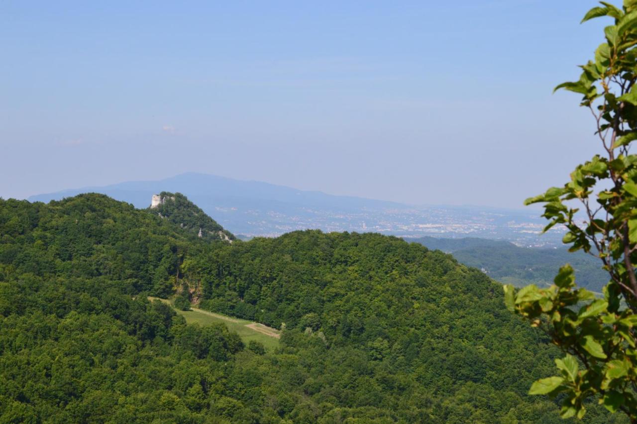 Na Okic - A Private Forest Oasis Villa Sveti Martin pod Okicem Dış mekan fotoğraf