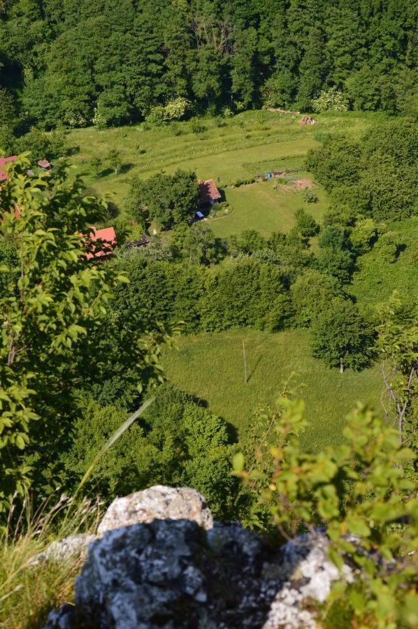 Na Okic - A Private Forest Oasis Sveti Martin pod Okicem Dış mekan fotoğraf