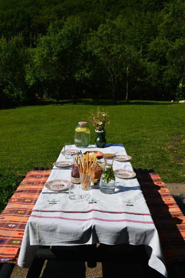 Na Okic - A Private Forest Oasis Sveti Martin pod Okicem Dış mekan fotoğraf
