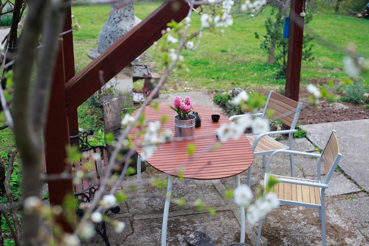 Na Okic - A Private Forest Oasis Sveti Martin pod Okicem Dış mekan fotoğraf