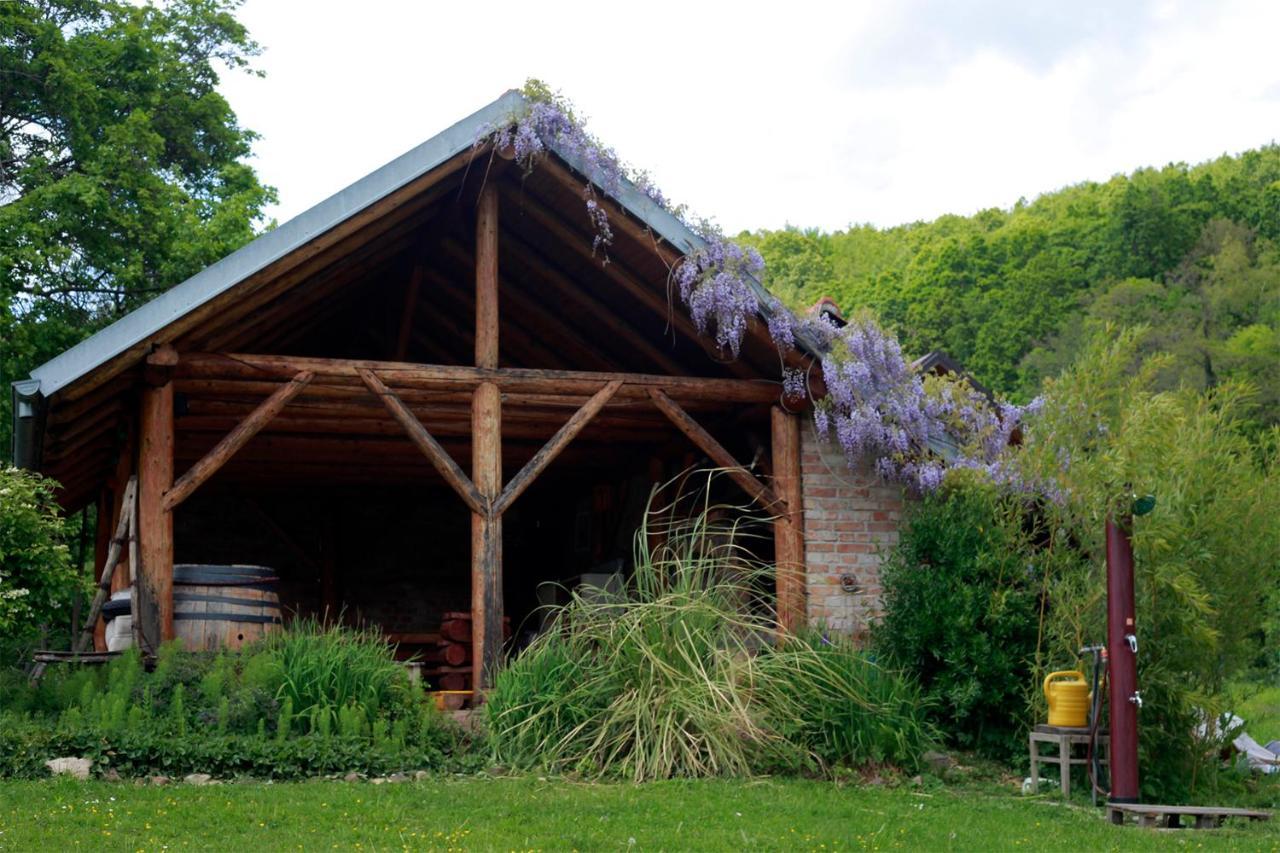 Na Okic - A Private Forest Oasis Sveti Martin pod Okicem Dış mekan fotoğraf