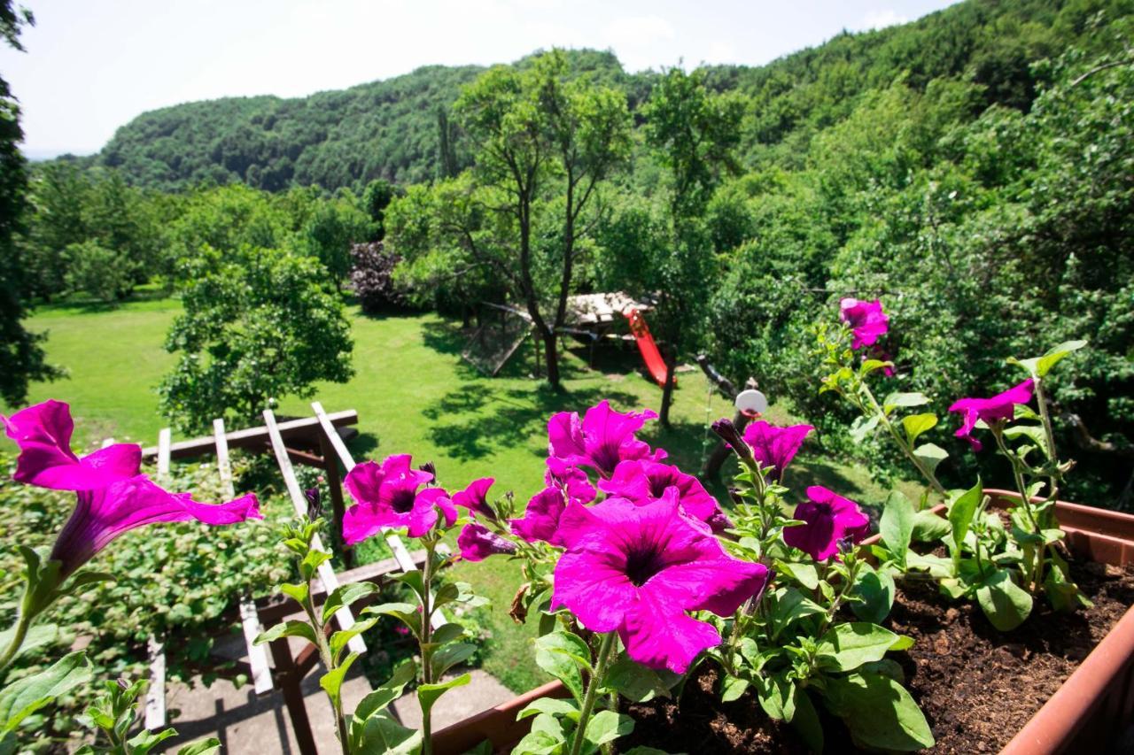 Na Okic - A Private Forest Oasis Sveti Martin pod Okicem Dış mekan fotoğraf