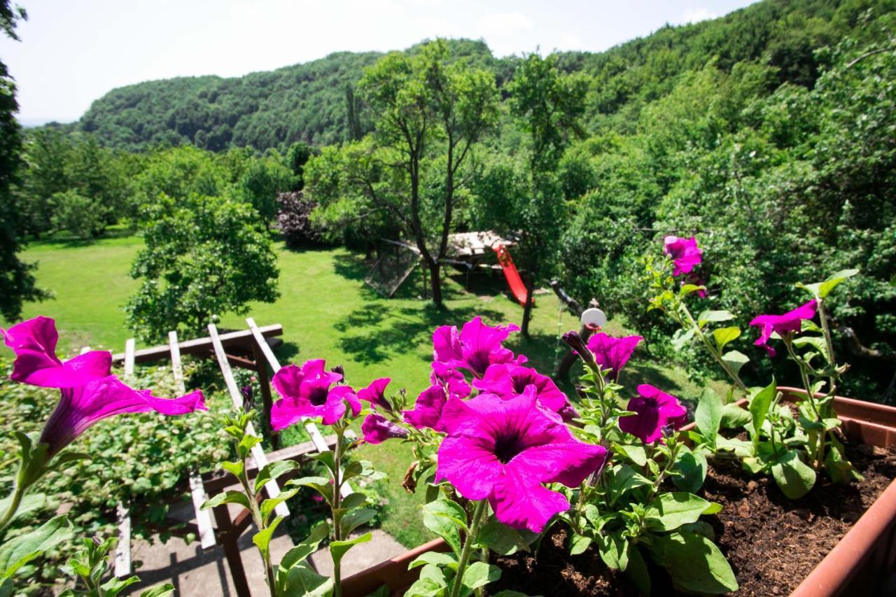 Na Okic - A Private Forest Oasis Villa Sveti Martin pod Okicem Dış mekan fotoğraf