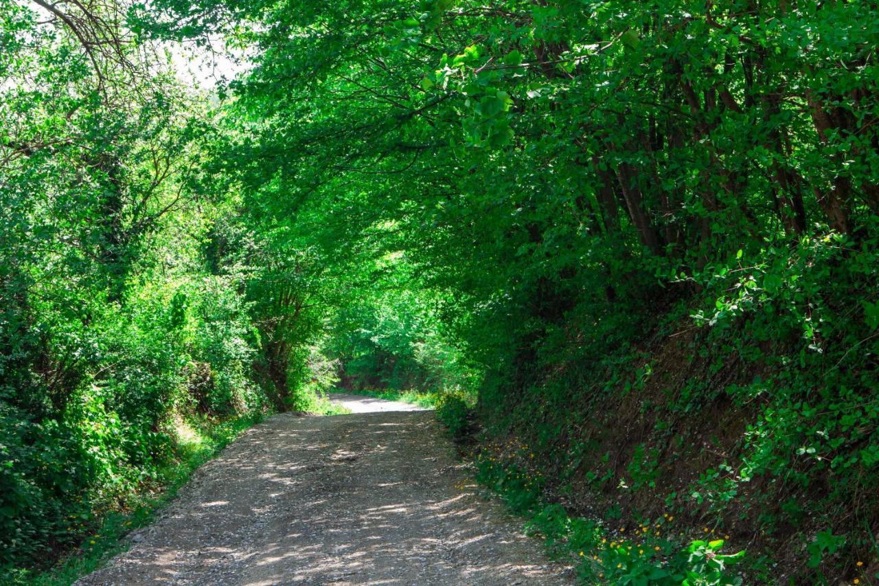 Na Okic - A Private Forest Oasis Villa Sveti Martin pod Okicem Dış mekan fotoğraf