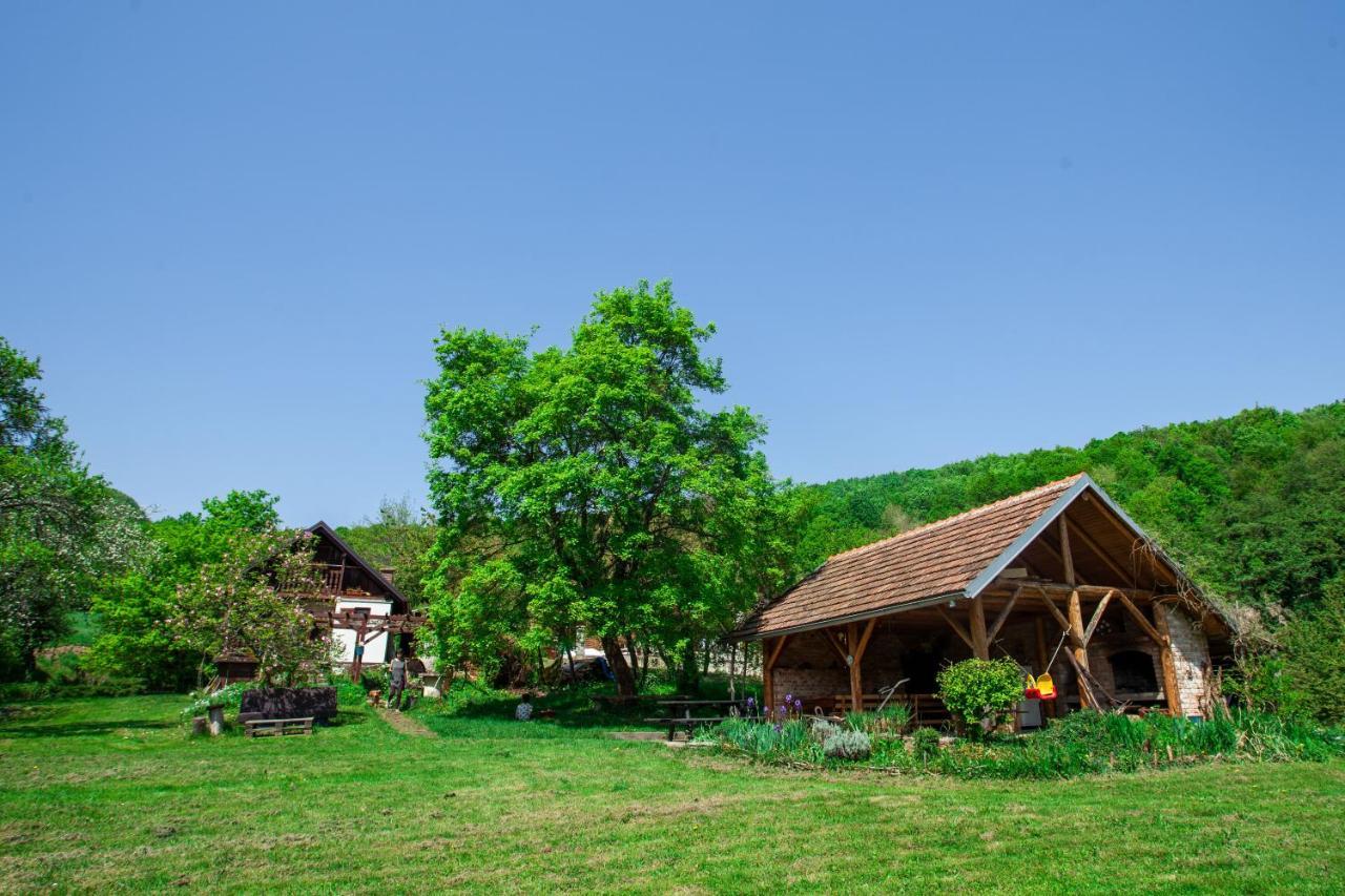 Na Okic - A Private Forest Oasis Sveti Martin pod Okicem Dış mekan fotoğraf