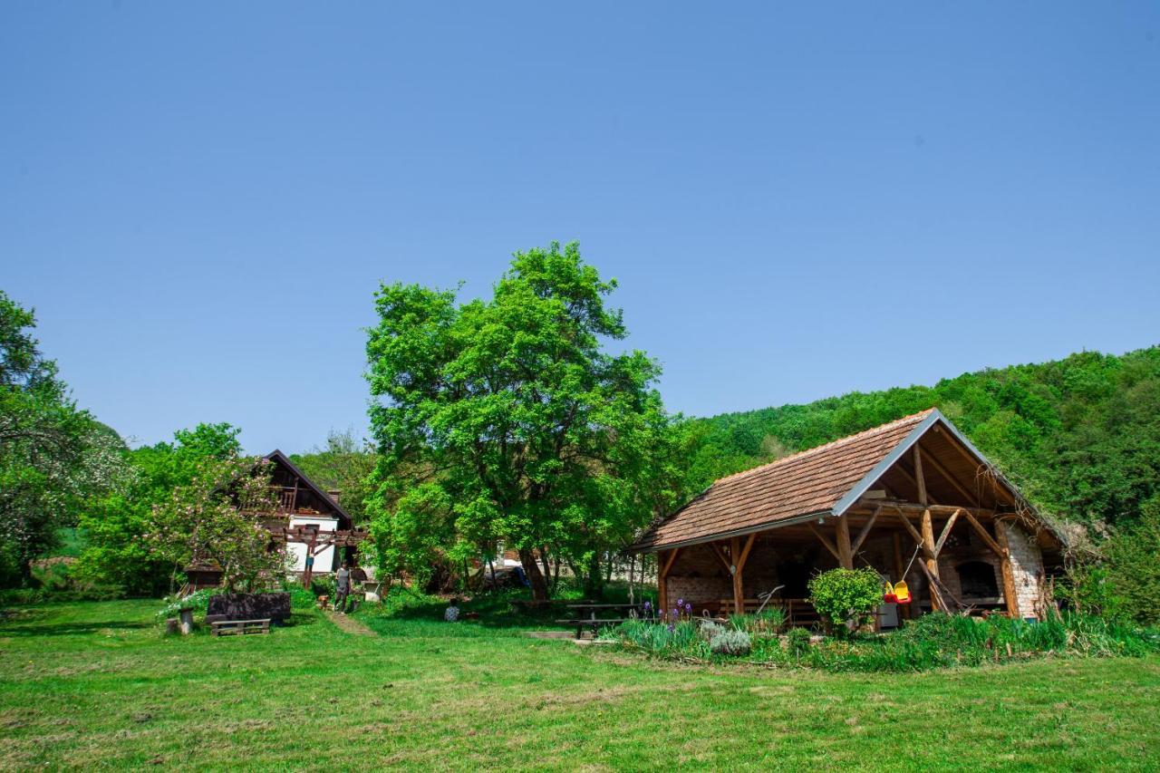 Na Okic - A Private Forest Oasis Villa Sveti Martin pod Okicem Dış mekan fotoğraf